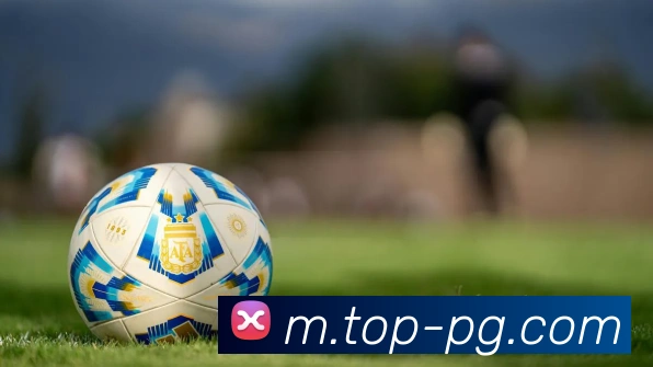 pg官网服务体系